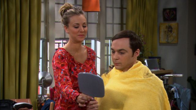 Vignette du programme télé Big Bang Theory - Saison 5