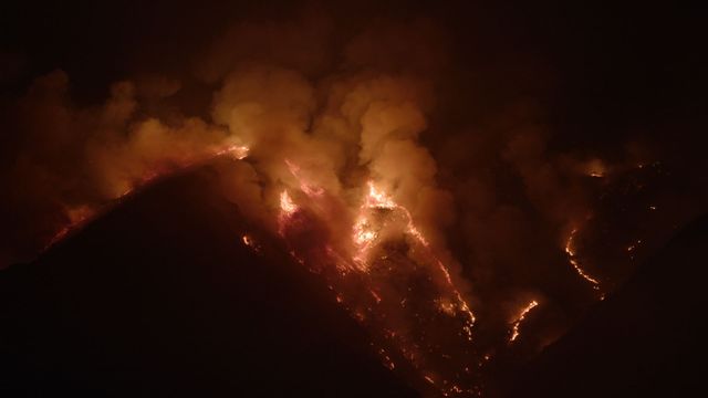 Vignette du programme télé Une forêt renaît de ses cendres