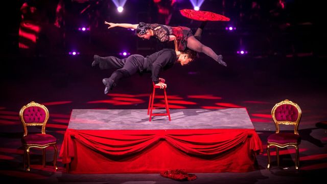 Vignette du programme télé Le Cirque Phénix - 25 ans