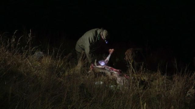 Vignette du programme télé Seuls face à l'Alaska - Saison 8