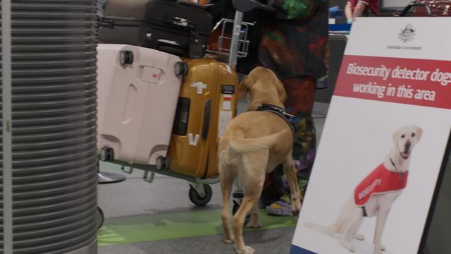 Vignette du programme télé Douanes sous haute surveillance - Saison 16