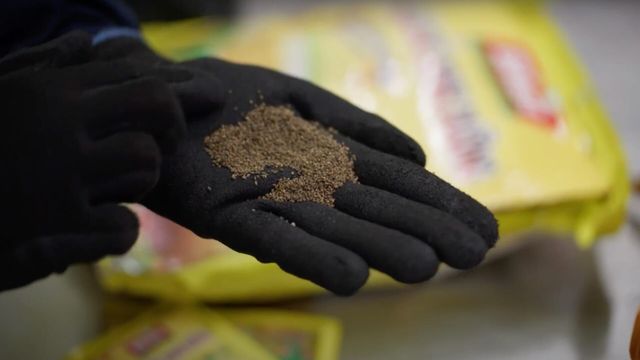 Vignette du programme télé Douanes sous haute surveillance - Saison 15