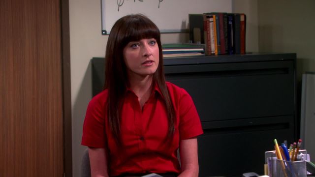 Vignette du programme télé Big Bang Theory - Saison 6