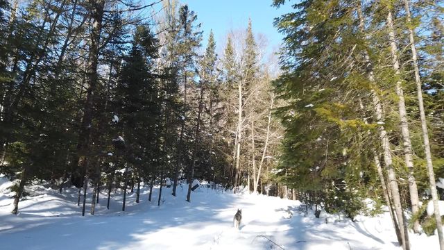 Vignette du programme télé Invitation au voyage