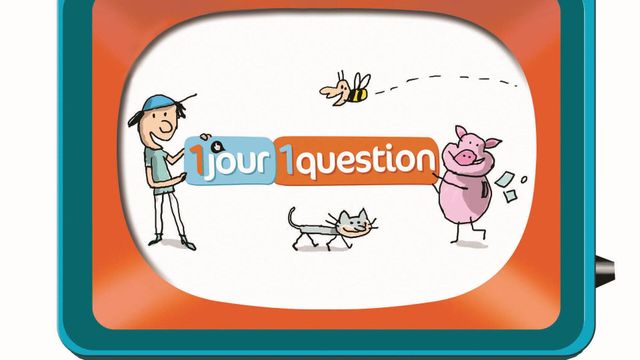 Vignette du programme télé Un jour, une question