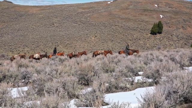 Vignette du programme télé Seuls face à l'Alaska - Saison 8