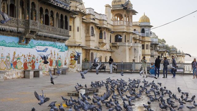 Vignette du programme télé Pékin express