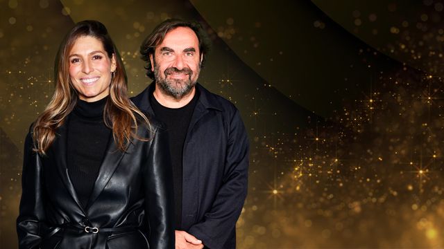 Vignette du programme télé La fête de la chanson française - 20 ans d'émotions