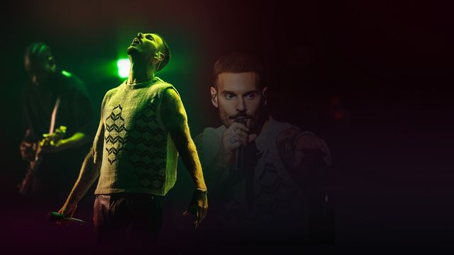 Vignette du programme télé Basique, le concert