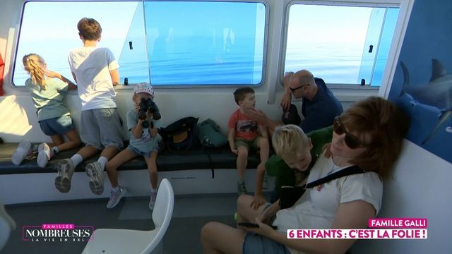 Vignette du programme télé Familles nombreuses : la vie en XXL - Saison 10