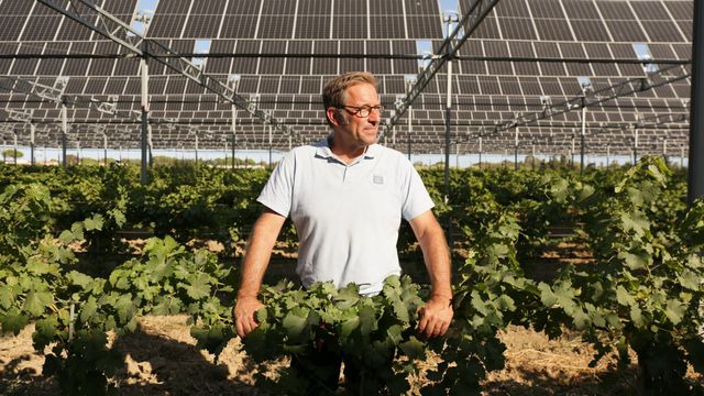 Vignette du programme télé Bonnes nouvelles de la planète