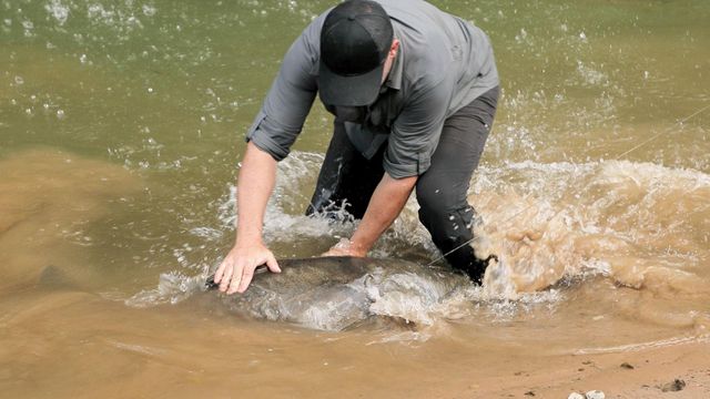 Vignette du programme télé Pêche XXL - Saison 4