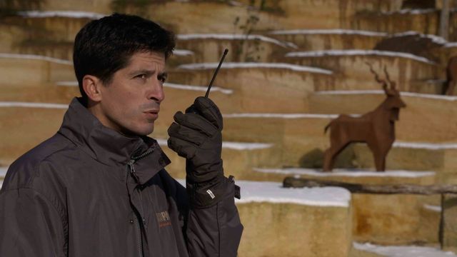 Vignette du programme télé Zoo : le défi de demain - Saison 2