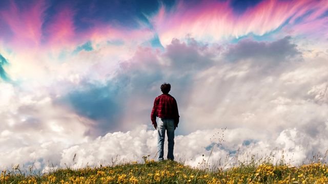 Vignette du programme télé Noé s'envole