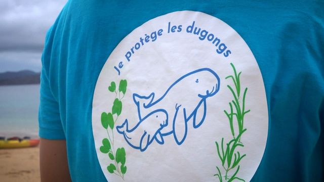 Vignette du programme télé Outremer.story