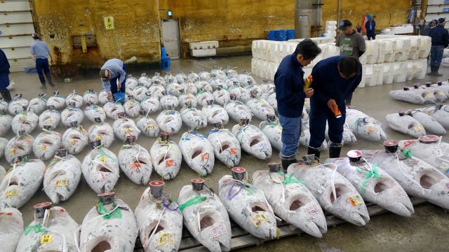 Vignette du programme télé Tokyo, il était une fois le marché aux poissons
