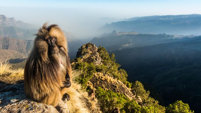 Vignette du programme télé Le royaume des nuages