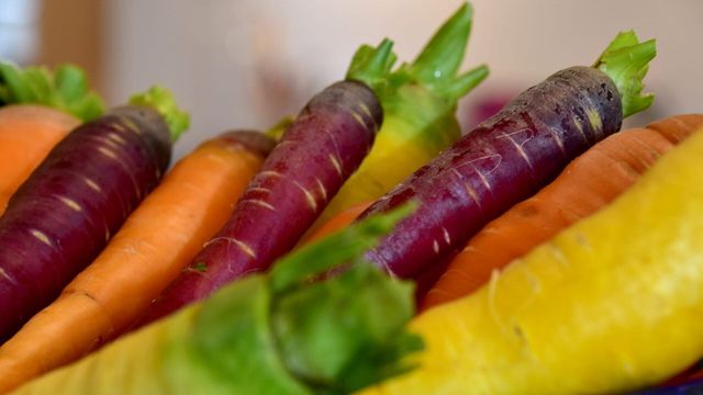 Vignette du programme télé Cuisines des terroirs