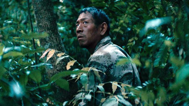 Vignette du programme télé The Poison Cat