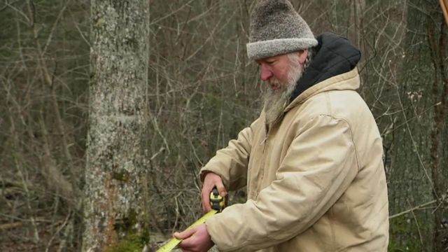 Vignette du programme télé Seuls face à l'Alaska - Saison 8