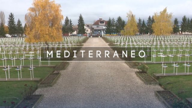 Vignette du programme télé Mediterraneo
