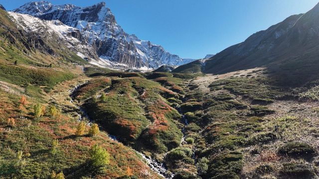 Vignette du programme télé Les merveilles de la haute montagne