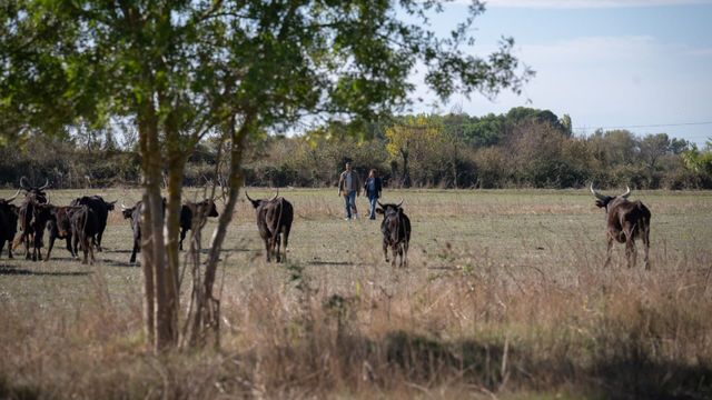 Vignette du programme télé A priori - Saison 2