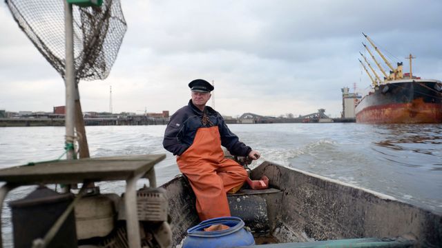 Vignette du programme télé Food Markets - Saison 5