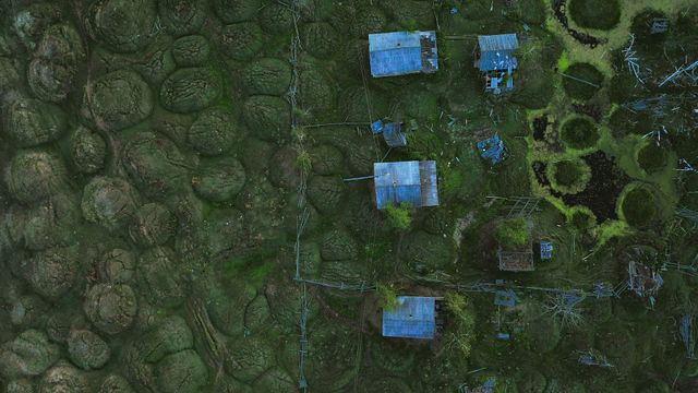 Vignette du programme télé Fièvre climatique en Arctique