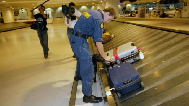 Vignette du programme télé Douanes sous haute surveillance - Saison 6