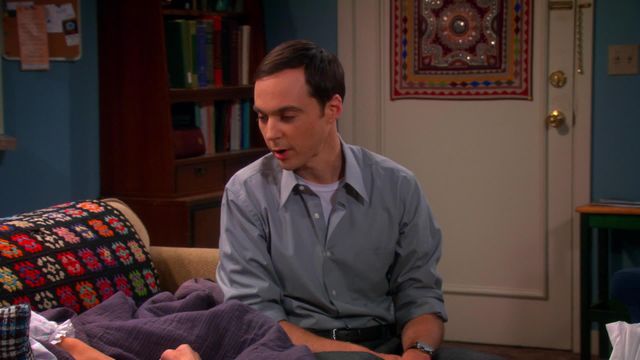 Vignette du programme télé Big Bang Theory - Saison 6
