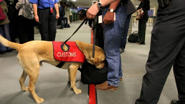Vignette du programme télé Douanes sous haute surveillance - Saison 14