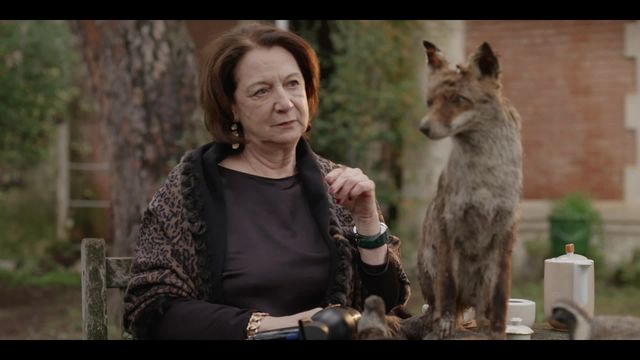 Vignette du programme télé Un si grand soleil - Saison 8