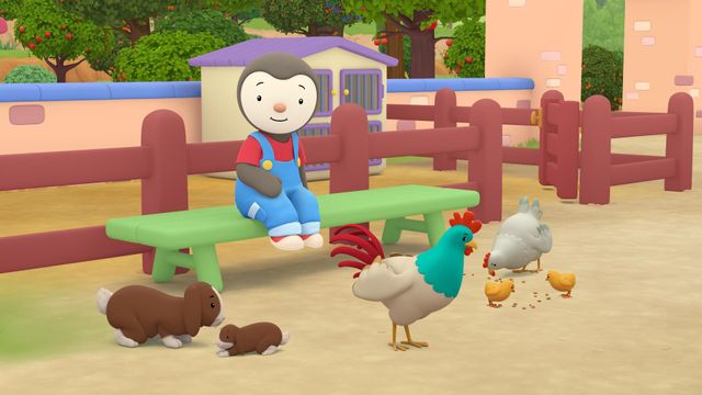 Vignette du programme télé T'choupi à la campagne - Saison 1