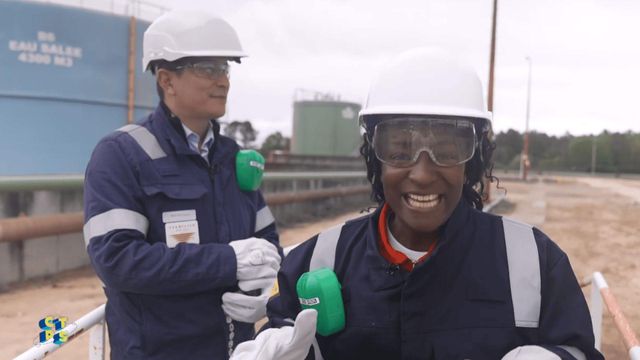 Vignette du programme télé C'est toujours pas sorcier