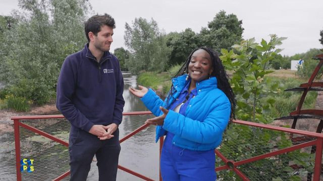Vignette du programme télé C'est toujours pas sorcier