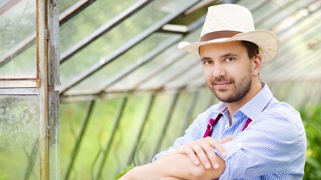 Vignette du programme télé Les travailleurs de l'ombre