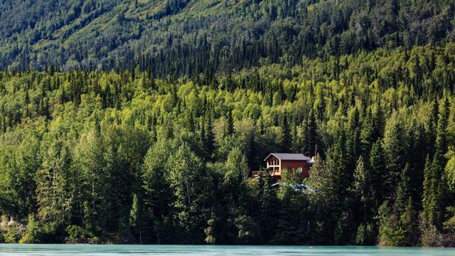 Vignette du programme télé Cabane : un rêve à construire - Saison 1