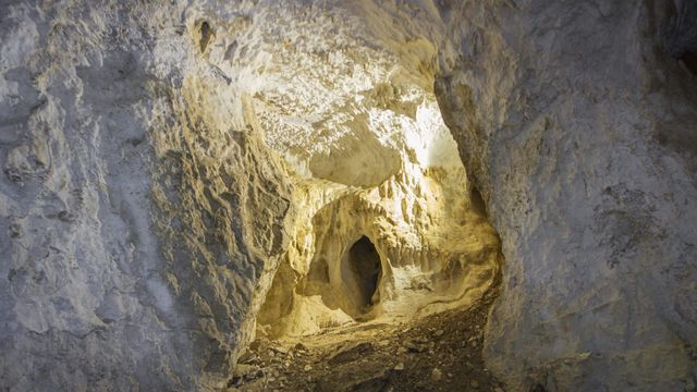 Vignette du programme télé La France en vrai