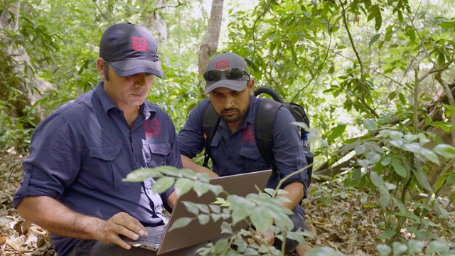 Vignette du programme télé Corridors sauvages - Saison 1
