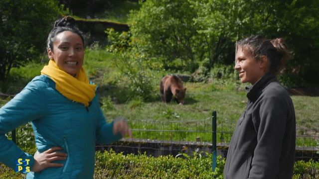 Vignette du programme télé C'est toujours pas sorcier