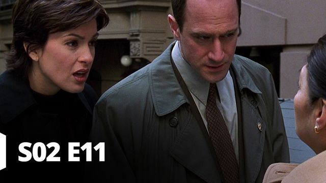 Vignette du programme télé New York Unité Spéciale - Saison 2