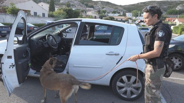 Vignette du programme télé Enquête d'action