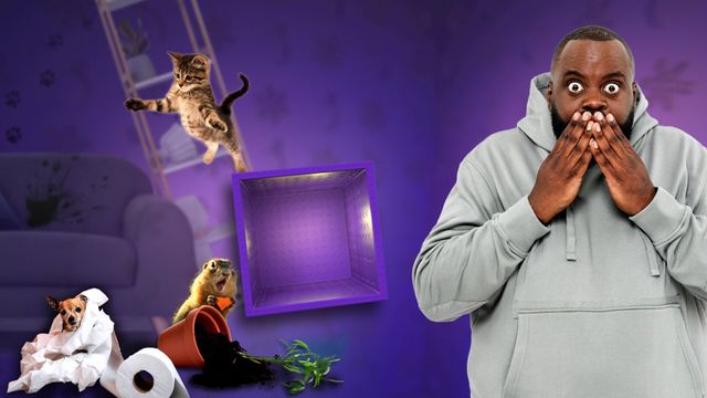 Vignette du programme télé Les 100 vidéos qui ont fait rire le monde entier