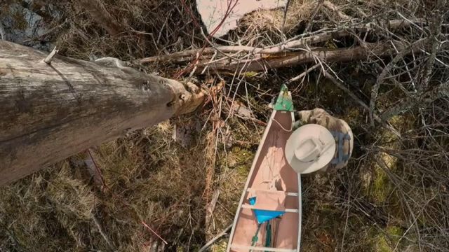 Vignette du programme télé Seuls face à l'Alaska - Saison 7