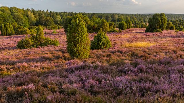 Vignette du programme télé Paysages d'Europe