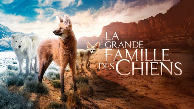 Vignette du programme télé La grande famille des chiens