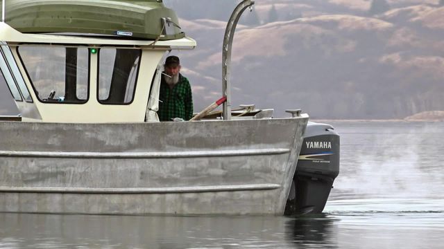 Vignette du programme télé Seuls face à l'Alaska - Saison 7