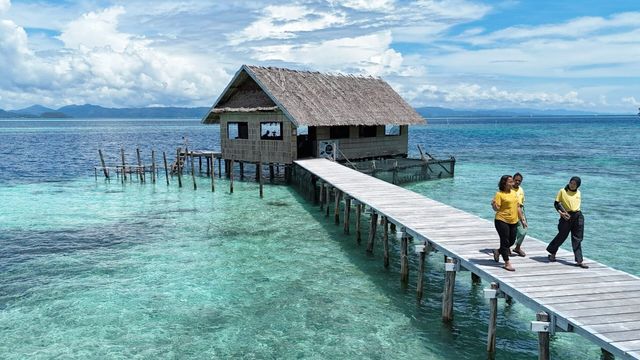 Vignette du programme télé Bonnes nouvelles de la planète