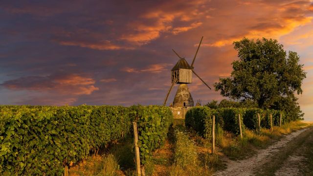 Vignette du programme télé Faites entrer l'accusé